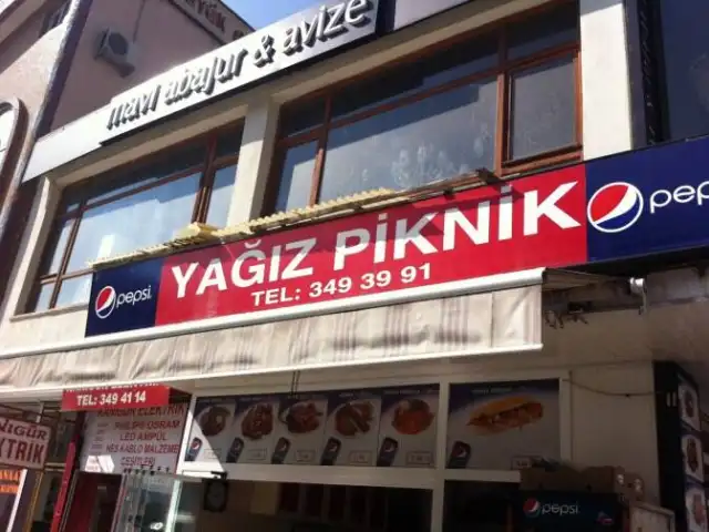 Yağız Piknik'nin yemek ve ambiyans fotoğrafları 4