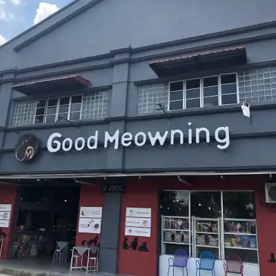 Good Meowning Cafe