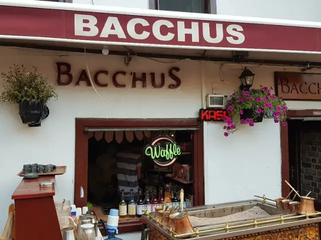 Bacchus'nin yemek ve ambiyans fotoğrafları 4