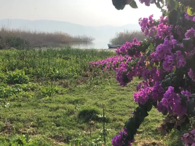 Balikci Esat'in Yeri'nin yemek ve ambiyans fotoğrafları 4