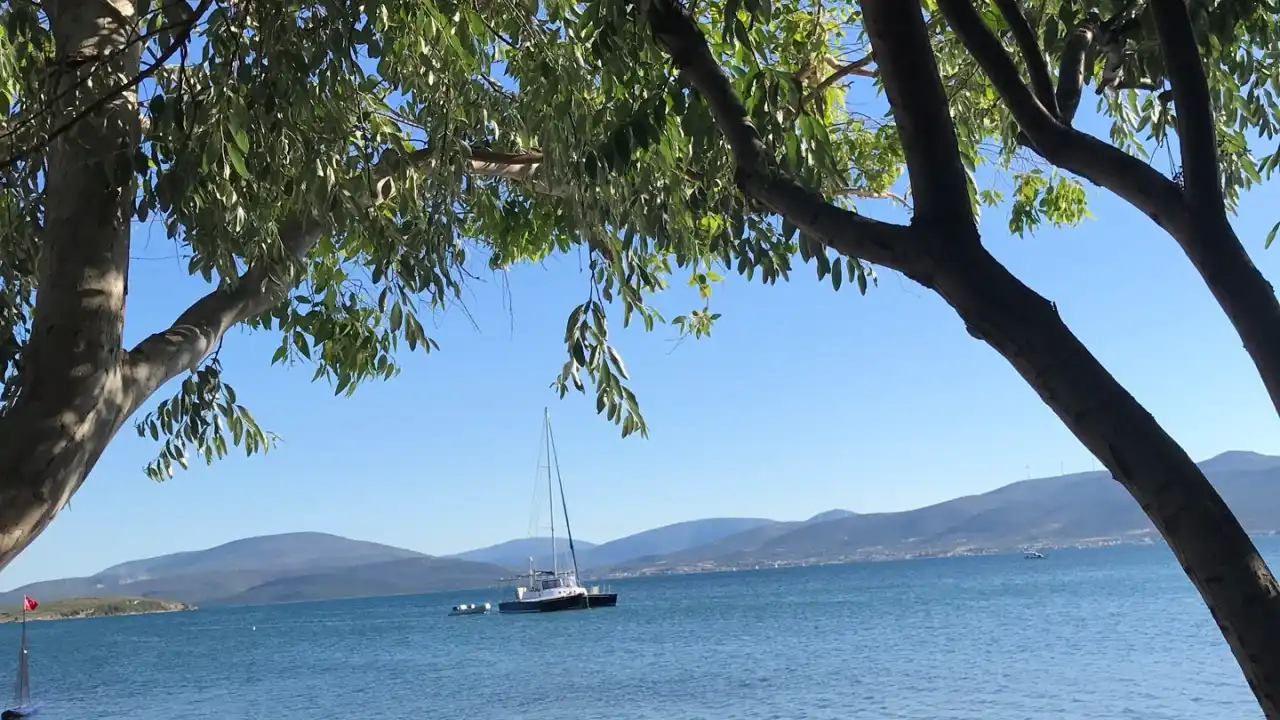 ŞİRİN CAFE AKKUM ÖZBEK