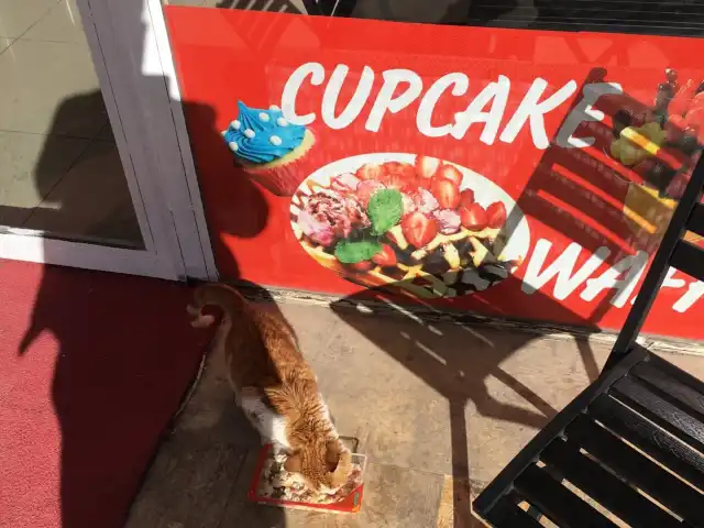 Happy Cupcake & Waffle'nin yemek ve ambiyans fotoğrafları 4