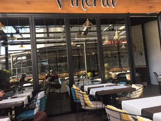 Vineria Restaurant & Cafe'nin yemek ve ambiyans fotoğrafları 68
