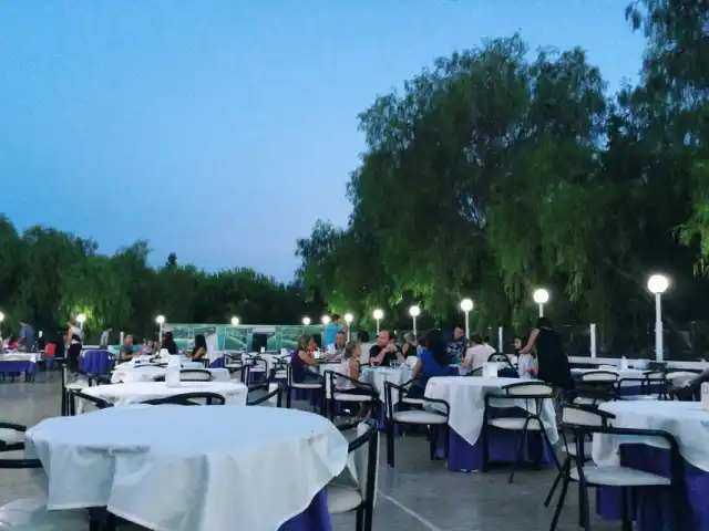 Mimoza Restaurant'nin yemek ve ambiyans fotoğrafları 5