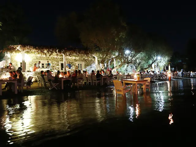 Ayana Restaurant'nin yemek ve ambiyans fotoğrafları 2