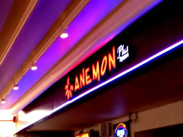 Anemon Cafe'nin yemek ve ambiyans fotoğrafları 1