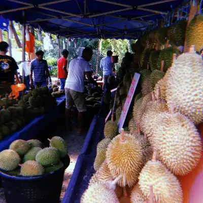 Pondok Durian tepi jalan