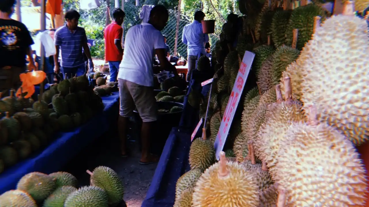 Pondok Durian tepi jalan