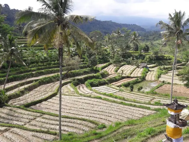 Gambar Makanan Warung Ume Anyar 19