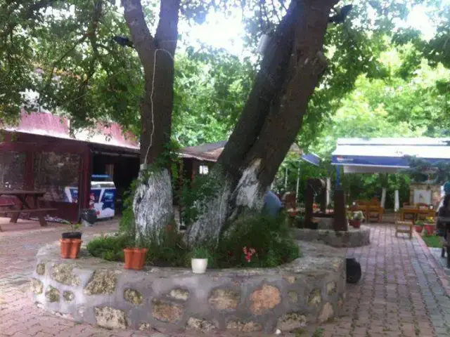 Balcalı Köy Evi