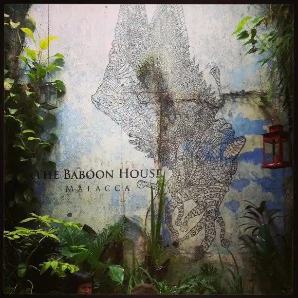 The Baboon House Food Photo 13