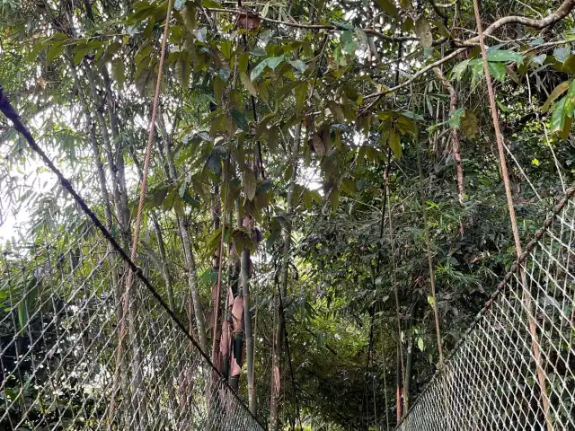 Gambar Makanan Bali Pulina Agro Wisata 10