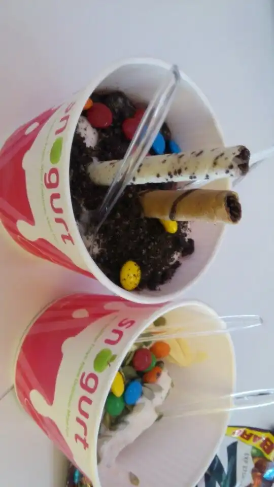 Snogurt Food Photo 13