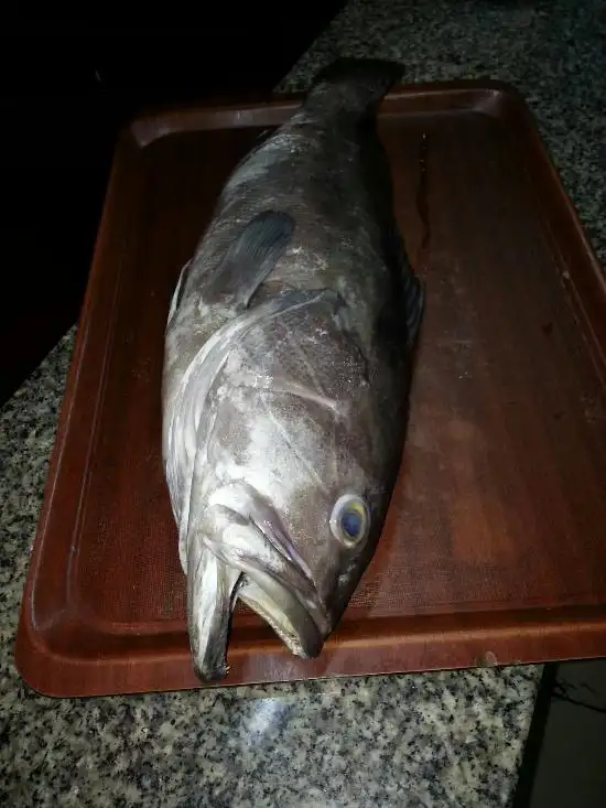 Mostra Balık'nin yemek ve ambiyans fotoğrafları 10