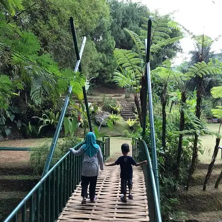 Gambar Makanan Nasi Liwet Pak Asep Stroberi Ciawi 9