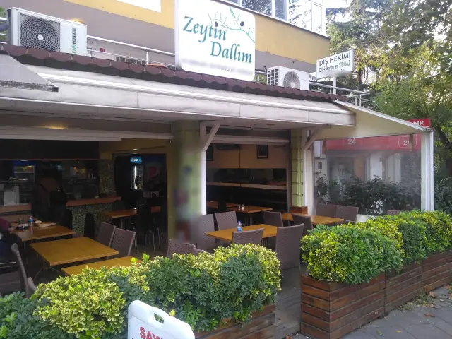 Zeytin Dallım'nin yemek ve ambiyans fotoğrafları 3