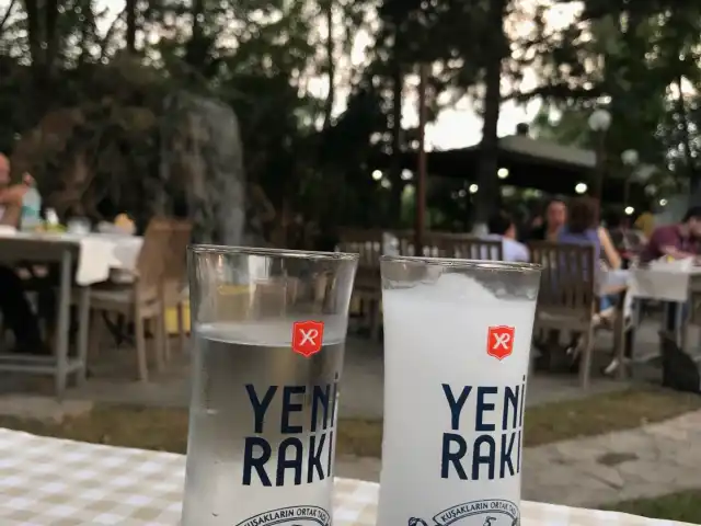 Çamlık Restaurant'nin yemek ve ambiyans fotoğrafları 12