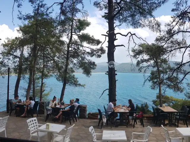 Camping48 Restaurant'nin yemek ve ambiyans fotoğrafları 6