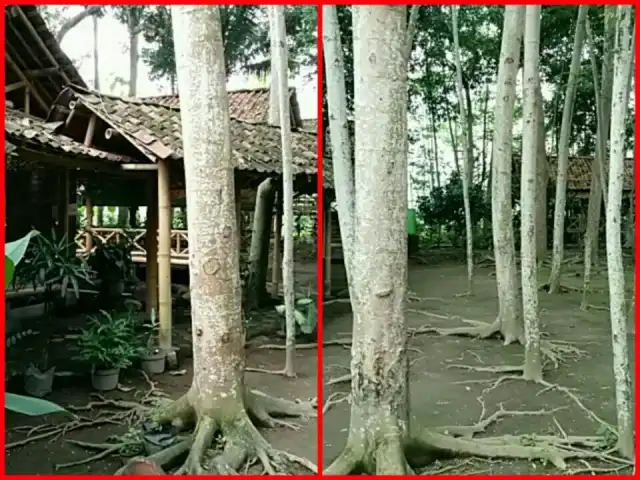 Gambar Makanan Warung Makan Kebon Ndhelik 11