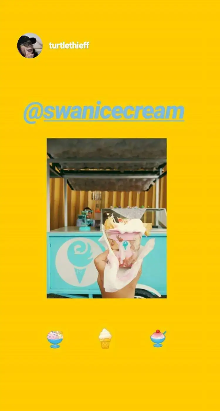 Swan ice cream