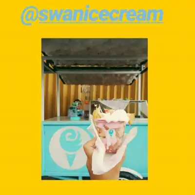 Swan ice cream