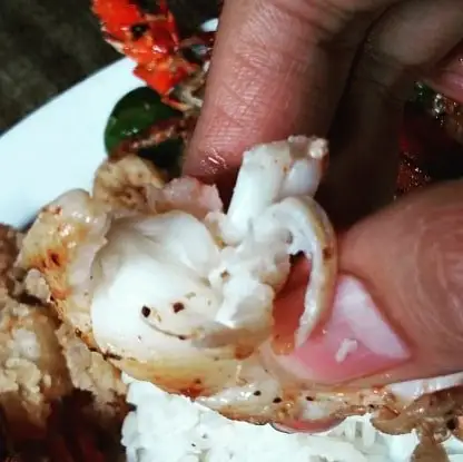 Gambar Makanan Loobie Lobster 13