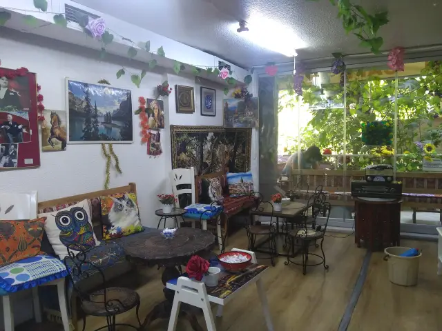 Asmalı Cafe'nin yemek ve ambiyans fotoğrafları 3