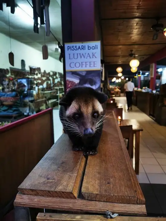 Gambar Makanan Pissari Bali Cafe 11