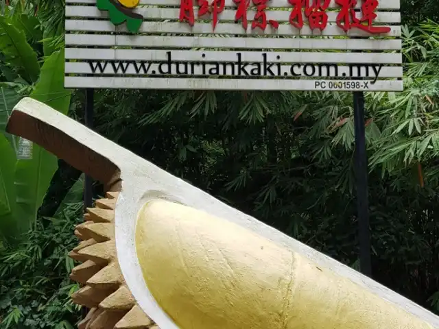 Cap Kaki Durian Food Photo 9