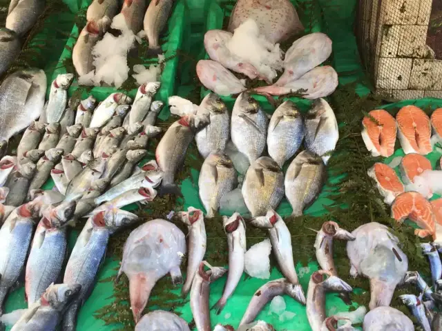 Yakamoz Balıkçısı'nin yemek ve ambiyans fotoğrafları 15
