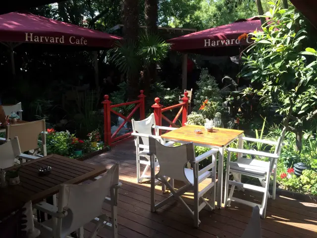 Harvard Cafe'nin yemek ve ambiyans fotoğrafları 20