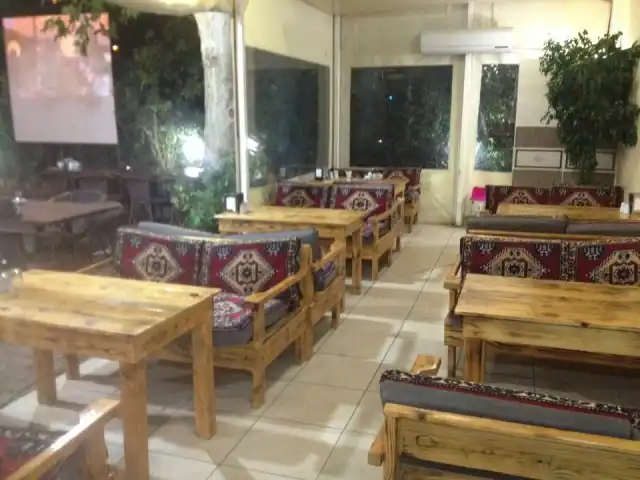 Doğa Restorant'nin yemek ve ambiyans fotoğrafları 4