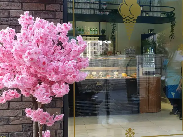 Ponte Di Gelato'nin yemek ve ambiyans fotoğrafları 19