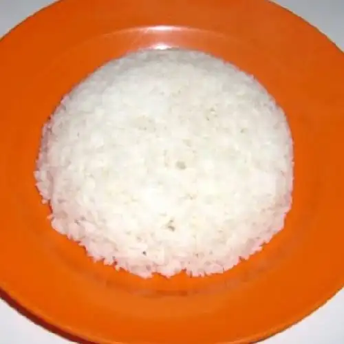 Gambar Makanan nasi bebek sinjaya Guntung manggis 7