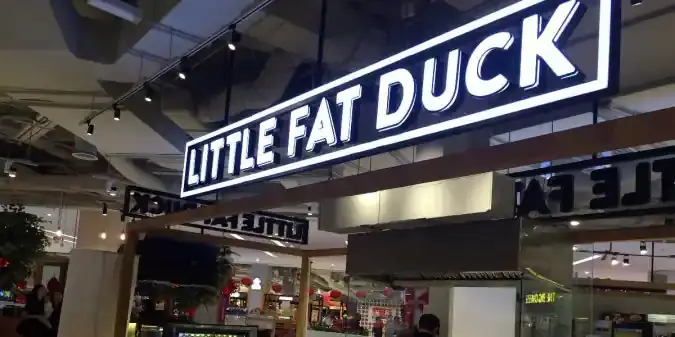 Little Fat Duck