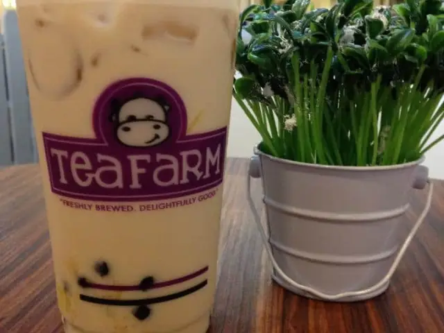 Tea Farm Food Photo 3