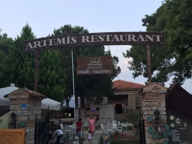 Artemis Restaurant'nin yemek ve ambiyans fotoğrafları 12
