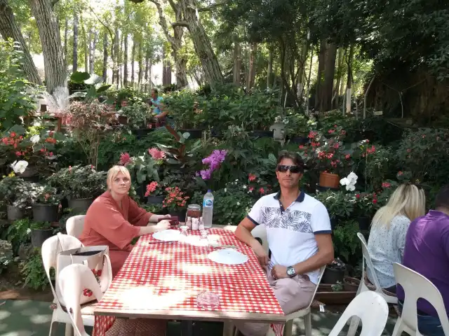 İzmir Tire Değirmen Restorant'nin yemek ve ambiyans fotoğrafları 12