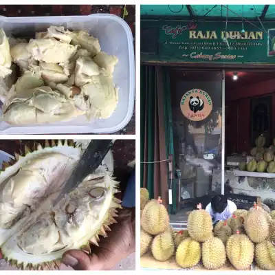 Raja Durian