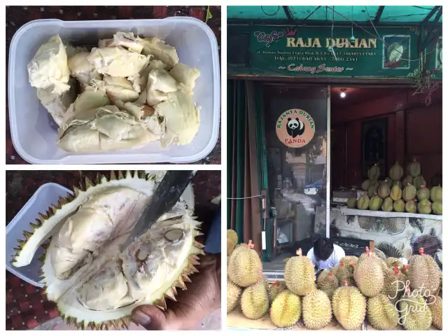Gambar Makanan Raja Durian 1