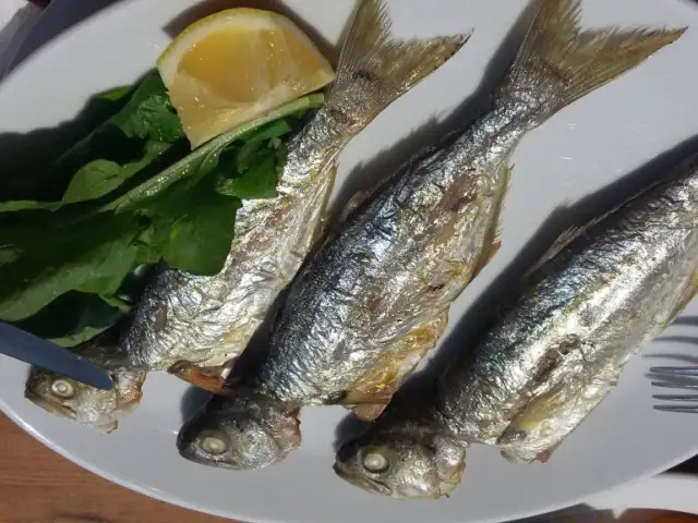 Fish Var Balikci'nin yemek ve ambiyans fotoğrafları 14