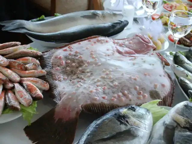 Boğaziçi Yakamoz Balık Restaurant'nin yemek ve ambiyans fotoğrafları 18
