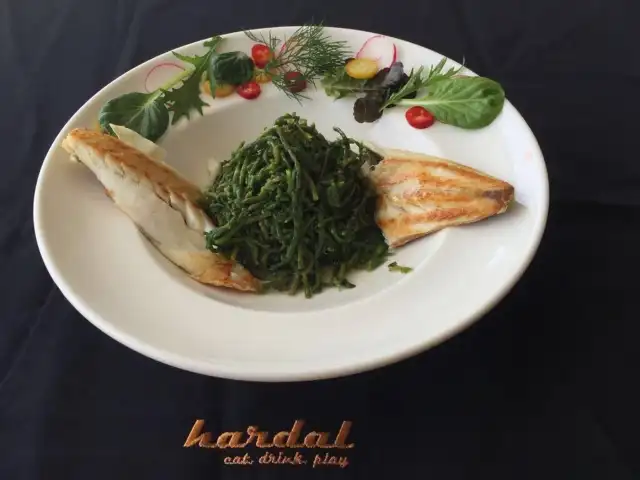 Hardal'nin yemek ve ambiyans fotoğrafları 4
