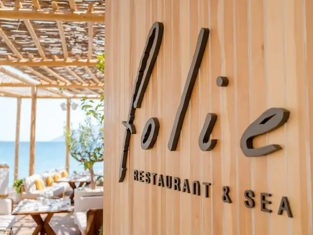 Folie Restaurant & Sea'nin yemek ve ambiyans fotoğrafları 18