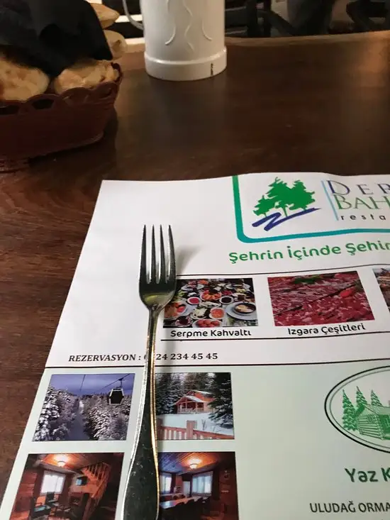 Derebahçe Restoran'nin yemek ve ambiyans fotoğrafları 71