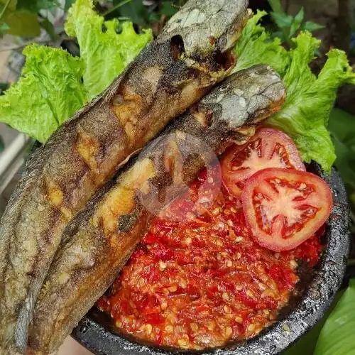 Gambar Makanan Ayam, Ikan Bakar Kecap & Pecak Lele Warung Adas Manis, Komplek Pusdiklat DK 9