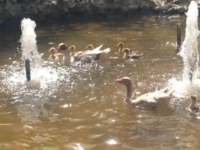 Saklı Vadi'nin yemek ve ambiyans fotoğrafları 6