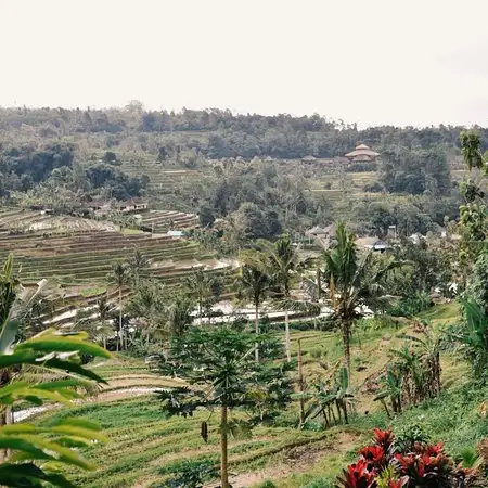 Gambar Makanan Batu Karu Kopi 11