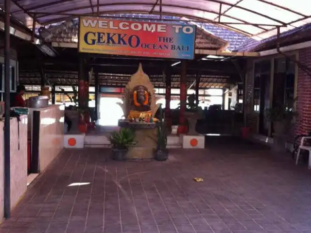 Gambar Makanan Gekko 2