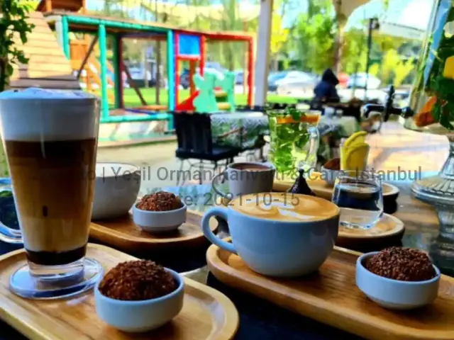 Yeşil Orman Kahvaltı & Cafe'nin yemek ve ambiyans fotoğrafları 1